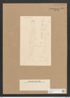 Diatomeae indet. Zeichnungen Sammlung Grunow Nr. 1834 (NHMW-BOT-W0368761)